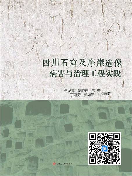 四川石窟及摩崖造像病害與治理工程實踐(推薦PC閱讀)